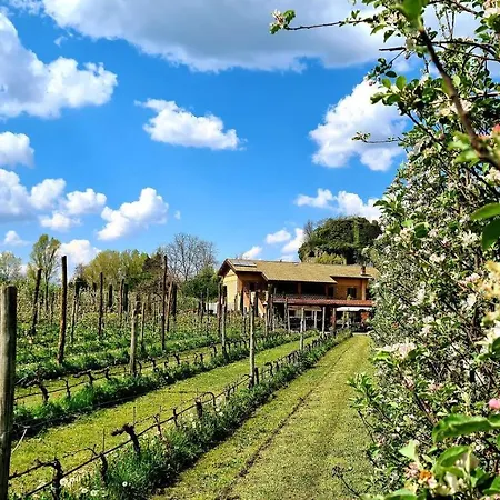 Apartment Podere Borgo Malnido Villafranca in Lunigiana